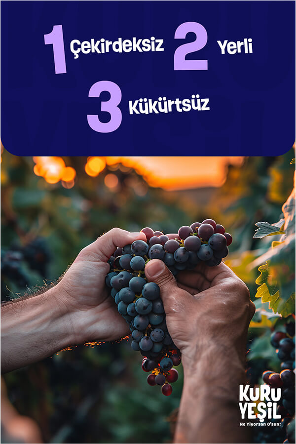 Çekirdeksiz Siyah Kuru Üzüm (Gölge Kurusu) 250gr