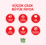 Natural Dried Strawberry 50 gr | Sugar-free and Additive-free Dried Fruit