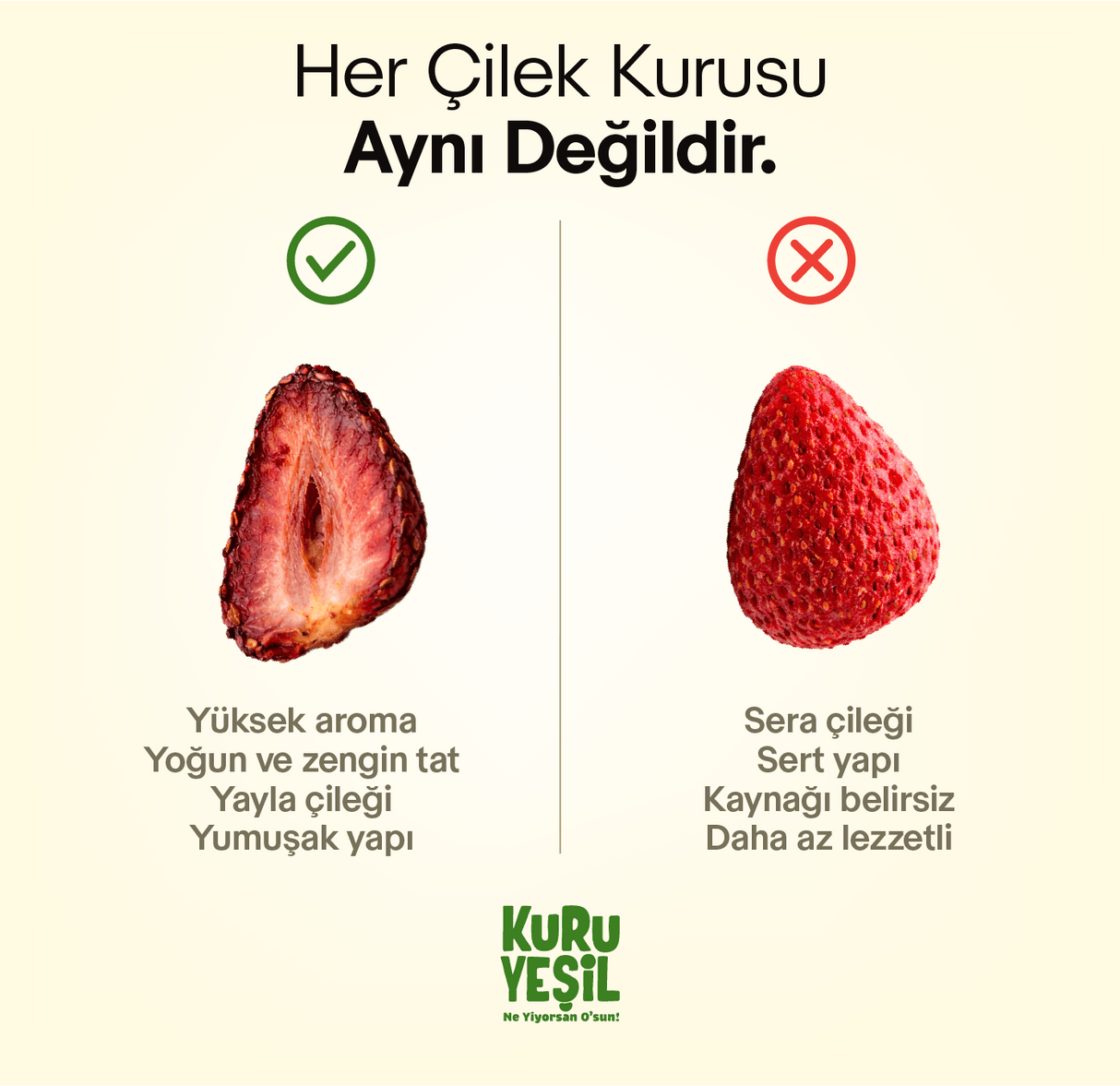 Natural Dried Strawberry 50 gr | Sugar-free and Additive-free Dried Fruit