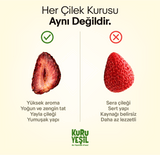 Natural Dried Strawberry 50 gr | Sugar-free and Additive-free Dried Fruit