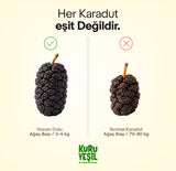 Natural Black Mulberry Dried 150 Gr | Antioxidant Rich, Additive Free
